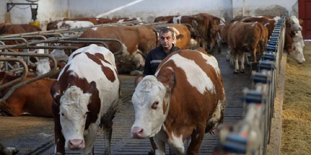Patronundan maaş beklerken şimdi o maaş veriyor! Arabasını satıp girdiği işte köşeyi döndü 1